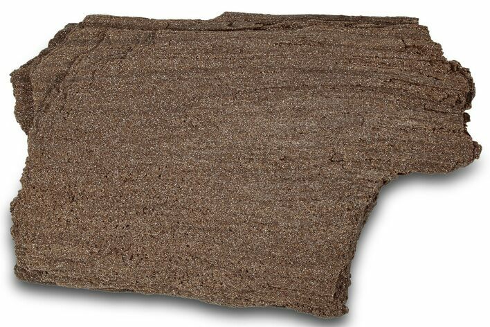 Permineralized Wood Covered In Sparkling Quartz - Germany #302046